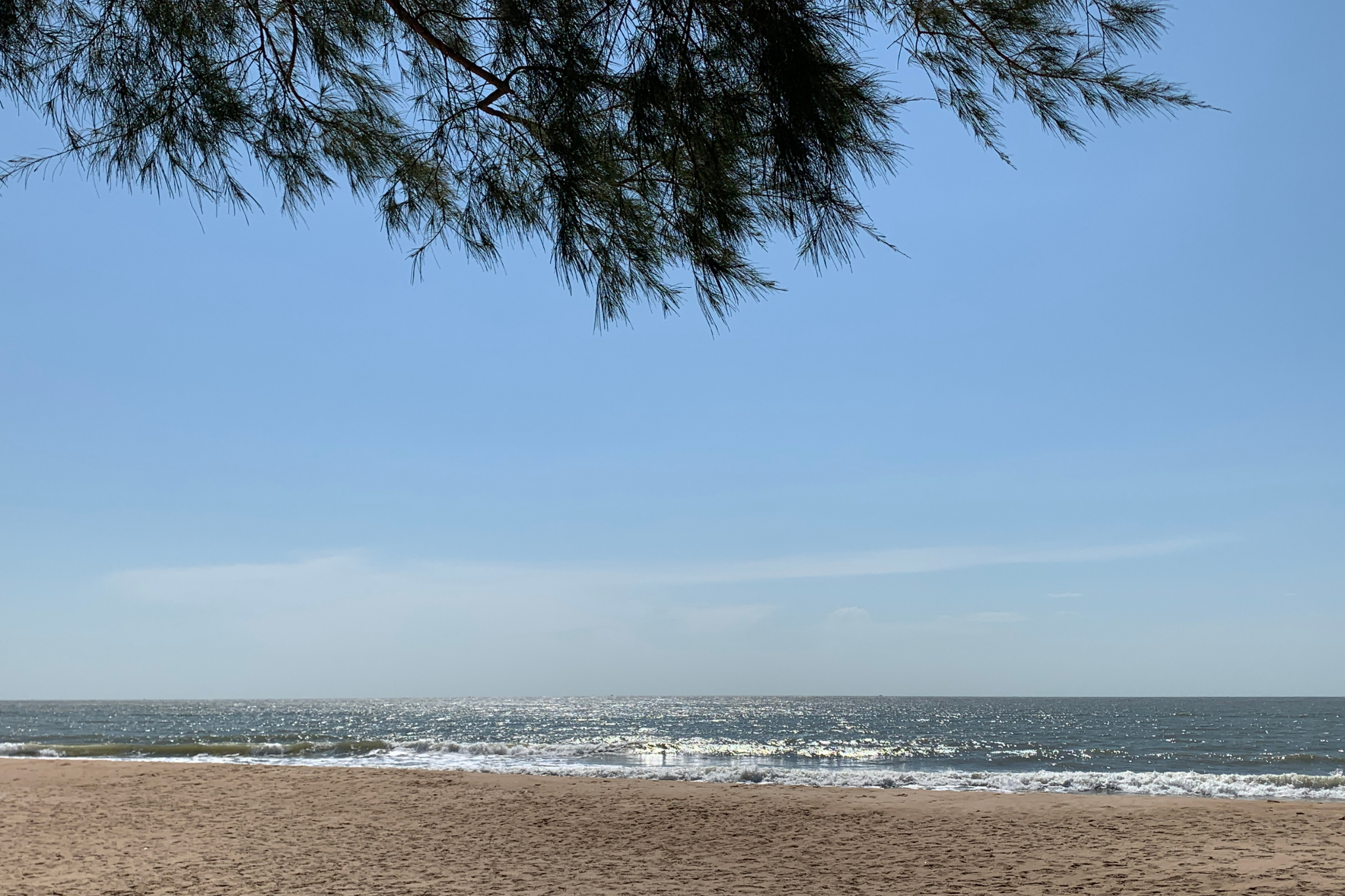 long xuyen.webp